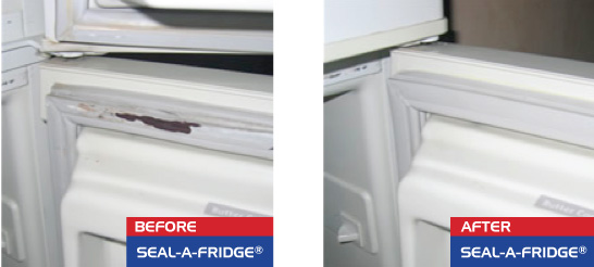 Westinghouse Fridge Seal RS642S 1605X540 Refrigerator Door Seal 